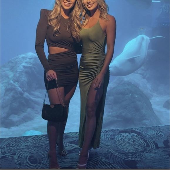 Zara Draped Brown Mini Dress - Picture 12 of 15